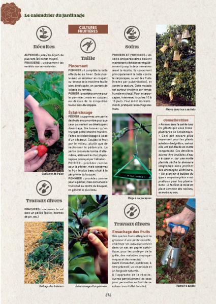 Librairie - Guide Clause du jardin - 39ème Edition - MEDIA_EN_SITUATION_1